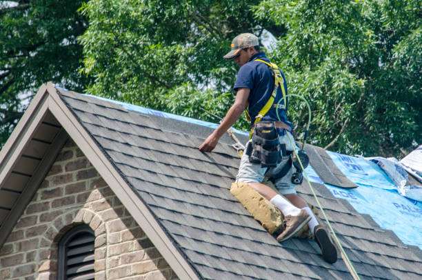Best Tile Roofing Contractor  in High Point, FL